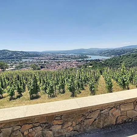 Condrieu, Le Chatillon Au Coeur Du Vignoble Belle Vue Sur Vallee Du Rhone