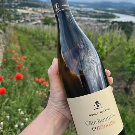 Apartment Condrieu, Le Chatillon Au Coeur Du Vignoble Belle Vue Sur Vallee Du Rhone Condrieu